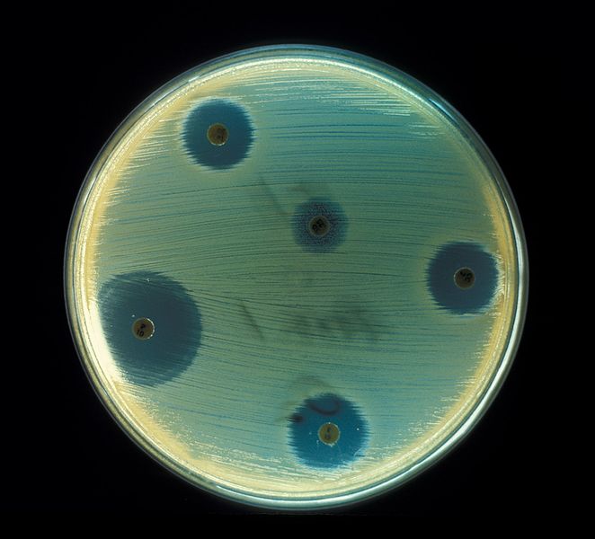 Antibiotique en test.